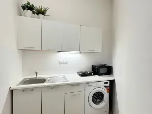 Pronájem bytu 1+kk, Brno, Koliště, 30 m2