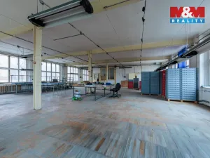 Pronájem výrobních prostor, Aš, Kotkova, 416 m2