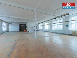 Pronájem výrobních prostor, Aš, Kotkova, 416 m2