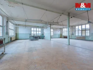 Pronájem výrobních prostor, Aš, Kotkova, 416 m2