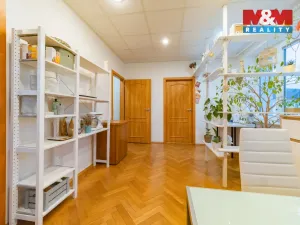 Prodej bytu 4+1, Sokolov, Sokolovská, 81 m2