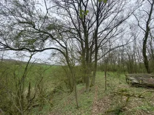 Prodej pozemku, Štětí - Brocno, 1107 m2