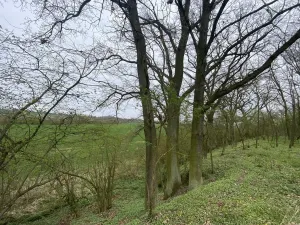 Prodej pozemku, Štětí - Brocno, 1107 m2