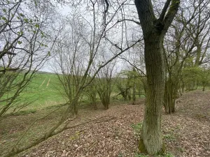 Prodej pozemku, Štětí - Brocno, 1107 m2