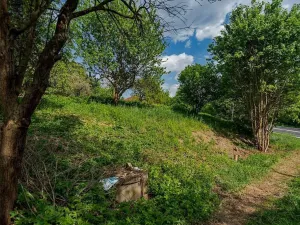 Prodej pozemku pro bydlení, Veliny, 1652 m2