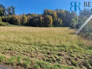 Prodej pozemku pro bydlení, Přerov, 14217 m2