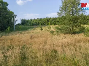 Prodej louky, Nový Bor - Janov, 5500 m2