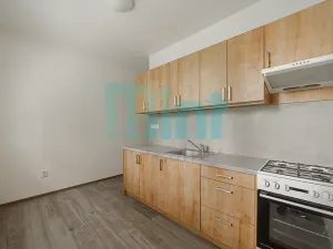 Pronájem bytu 1+1, Ostrava, Mariánskohorská, 36 m2