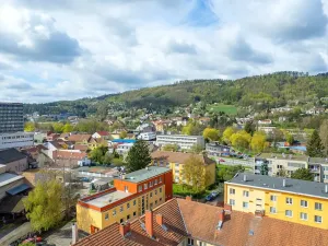 Prodej bytu 2+1, Blansko, Družstevní, 59 m2