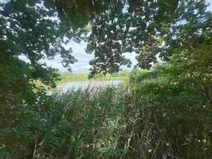 Prodej pozemku, Maleč, 6901 m2