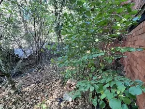 Prodej rodinného domu, Klatovy, Akátová, 390 m2