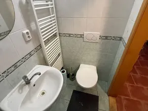 Pronájem rodinného domu, Šlapanice, Čechova, 200 m2