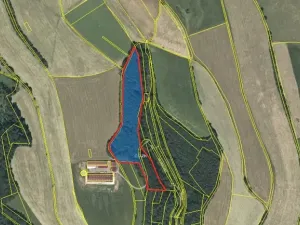 Prodej lesa, Štíty, 18750 m2