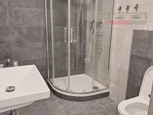 Pronájem bytu 1+kk, Brno, Křepelčí, 37 m2