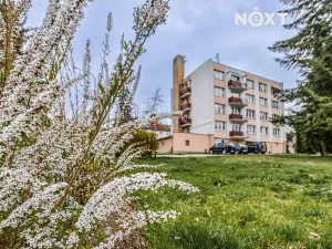 Prodej bytu 3+1, Borovany, Nová, 65 m2