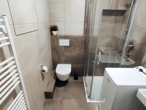 Pronájem bytu 1+kk, Olomouc, Šantova, 28 m2