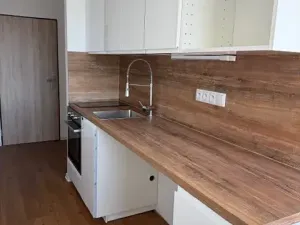 Pronájem bytu 1+kk, Liberec, Březová alej, 22 m2