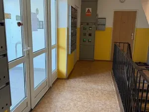 Pronájem bytu 1+kk, Liberec, Březová alej, 22 m2