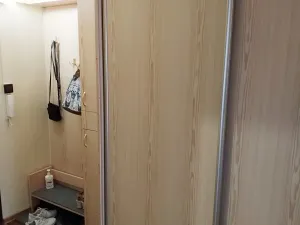 Pronájem bytu 2+1, Ostrava, Bedřicha Nikodema, 51 m2