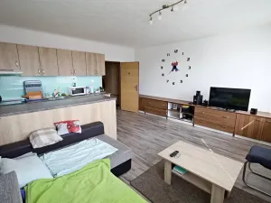Prodej bytu 1+kk, Planá, Bohušova, 30 m2