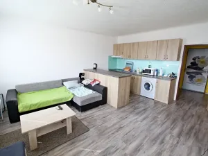 Prodej bytu 1+kk, Planá, Bohušova, 30 m2