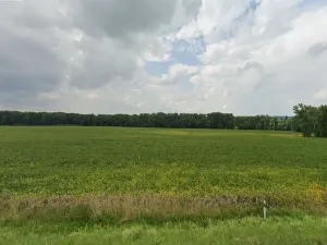 Prodej komerčního pozemku, Vysoké Mýto, Voštice, 3383 m2