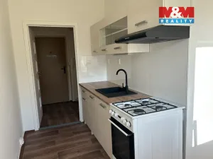 Pronájem bytu 1+1, Český Těšín, Slezská, 39 m2