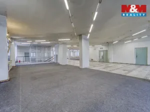 Pronájem obchodního prostoru, Plzeň - Severní Předměstí, alej Svobody, 458 m2