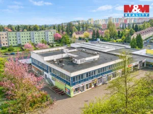 Pronájem obchodního prostoru, Plzeň - Severní Předměstí, alej Svobody, 458 m2