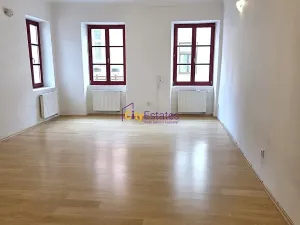 Pronájem bytu 1+1, České Budějovice, Dr. Stejskala, 59 m2