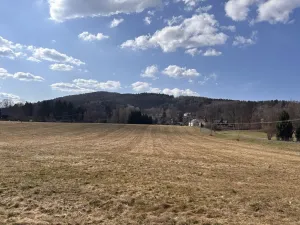 Prodej louky, Cvikov, 35271 m2