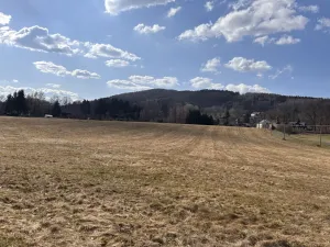 Prodej louky, Cvikov, 35271 m2