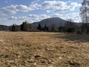 Prodej louky, Cvikov, 35271 m2