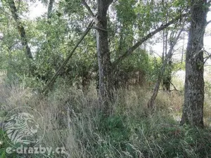 Dražba pozemku, Čisovice, 11062 m2