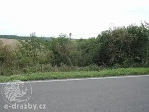 Dražba pozemku, Třebichovice, 6533 m2