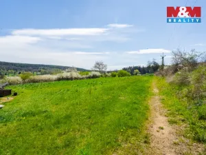 Prodej pozemku pro bydlení, Týn nad Vltavou - Hněvkovice na levém břehu Vltavy, 1869 m2