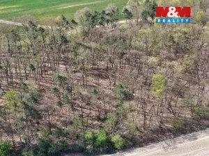 Prodej lesa, Mochov, 4629 m2