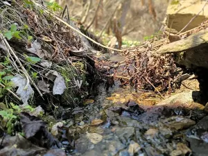 Prodej chalupy, Zlaté Hory, 130 m2