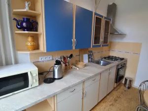 Pronájem bytu 2+1, Karlovy Vary, I. P. Pavlova, 54 m2