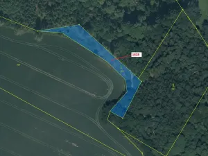 Dražba lesa, Chotýšany, 1841 m2