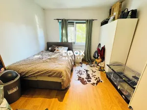 Prodej rodinného domu, Benešov, Bezručova, 200 m2