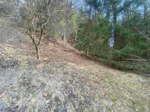 Dražba zahrady, Rokytnice v Orlických horách, 858 m2