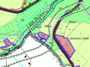 Dražba zahrady, Rokytnice v Orlických horách, 858 m2