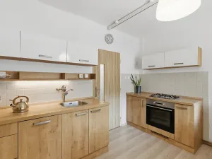 Prodej rodinného domu, Rakovník, Průhon, 201 m2