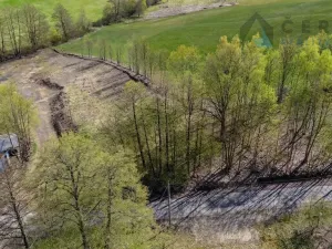 Prodej pozemku pro bydlení, Dlouhý Most, 3625 m2