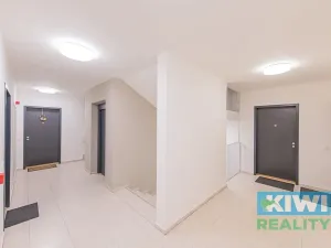 Pronájem bytu 2+kk, Ostrava, Důlní, 58 m2