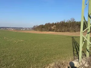 Prodej podílu lesa, Sojovice, 6719 m2