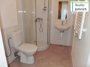 Pronájem bytu 1+kk, Liberec, Česká, 30 m2