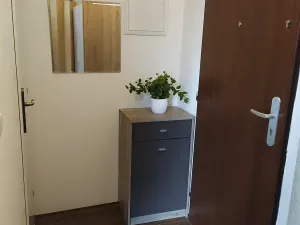 Pronájem bytu 1+kk, Liberec, Česká, 30 m2