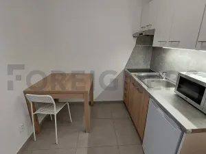 Pronájem bytu 1+kk, Olomouc, Ztracená, 25 m2